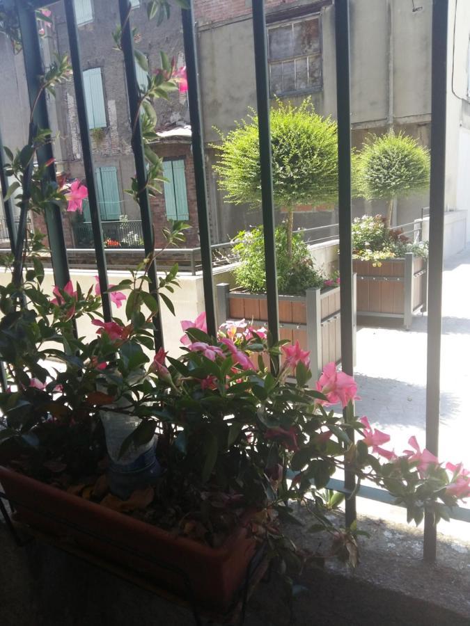 Quai De L ' Arnette Bed & Breakfast Mazamet Ngoại thất bức ảnh